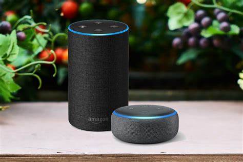 Amazon Alexa Echo and Echo Dot